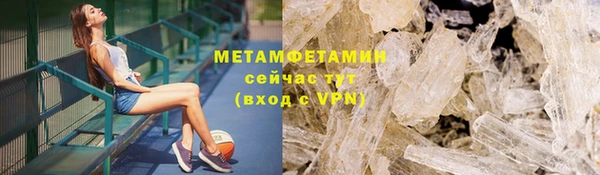 прущие грибы Верея
