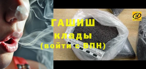 прущие грибы Верея