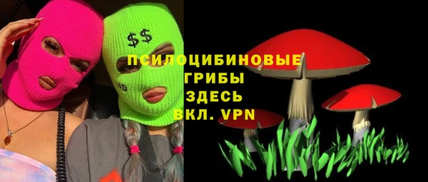 прущие грибы Верея