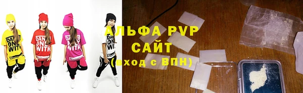 прущие грибы Верея