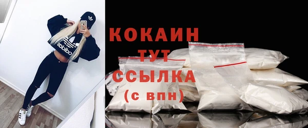 прущие грибы Верея