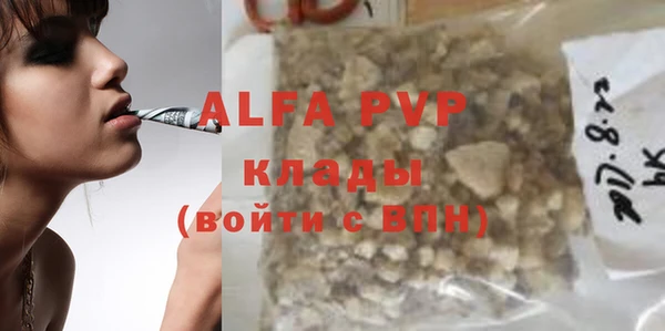 прущие грибы Верея