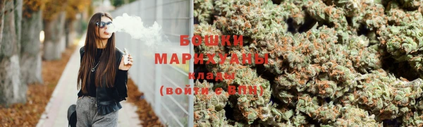 прущие грибы Верея