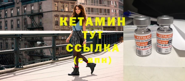 прущие грибы Верея