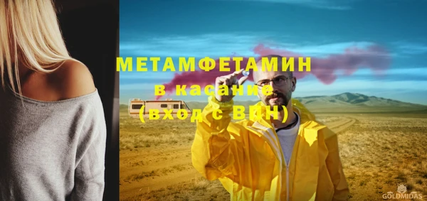прущие грибы Верея