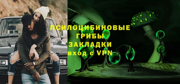 прущие грибы Верея