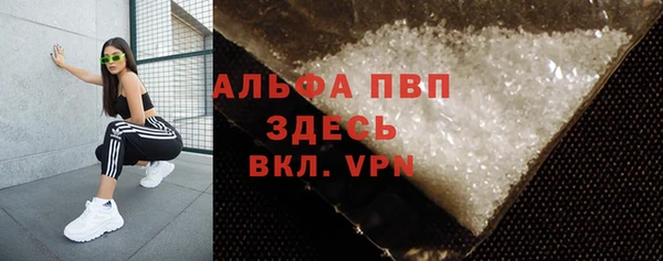 прущие грибы Верея